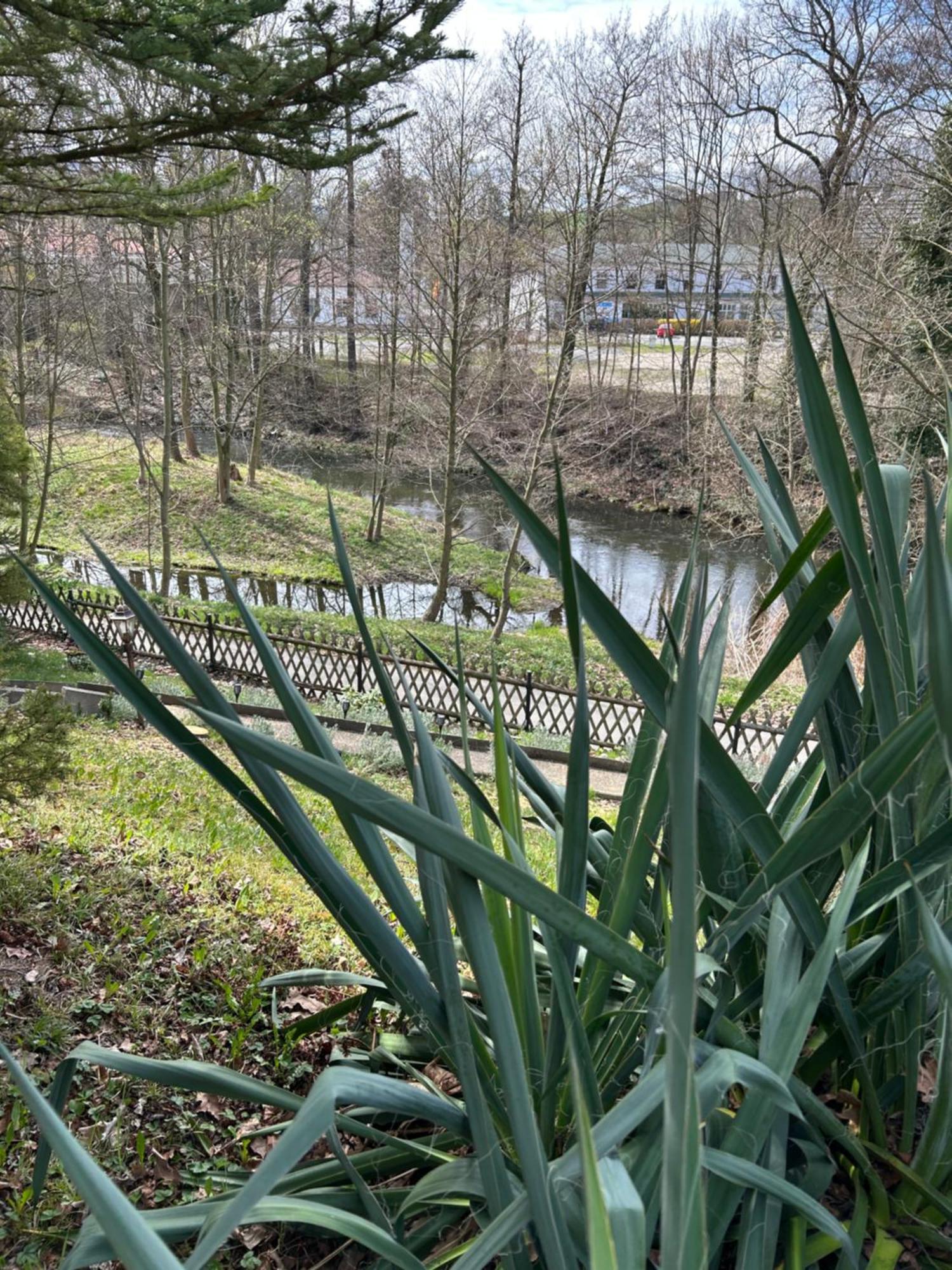 Ferienhaus Lavendel Obergurig Εξωτερικό φωτογραφία